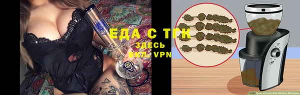 молекула духа Вяземский