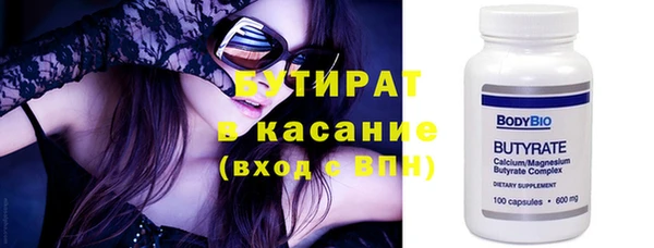 молекула духа Вяземский