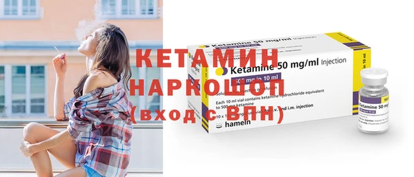 молекула духа Вяземский