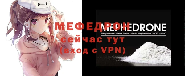 молекула духа Вяземский