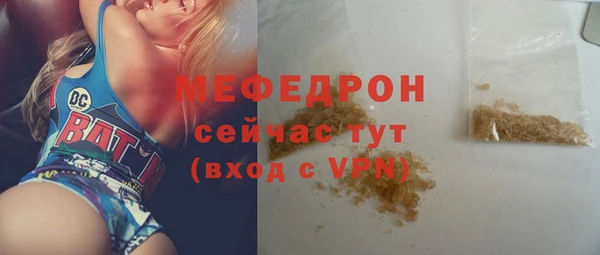 молекула духа Вяземский