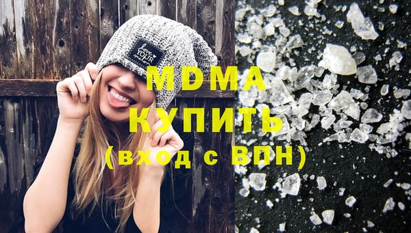 молекула духа Вяземский