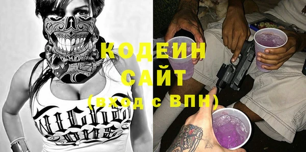 молекула духа Вяземский
