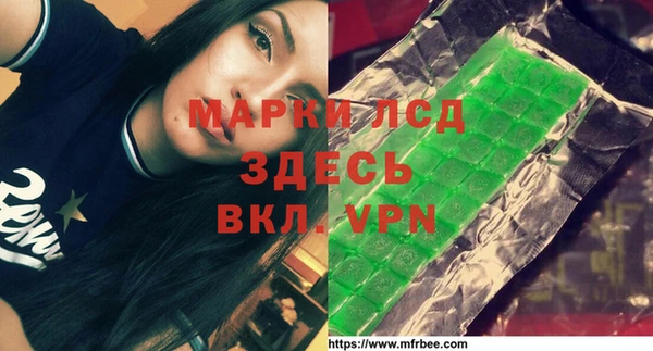 молекула духа Вяземский