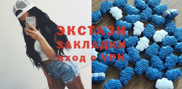 молекула духа Вяземский