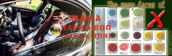 молекула духа Вяземский