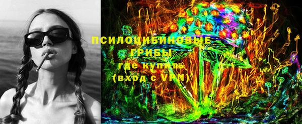 молекула духа Вяземский