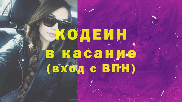 молекула духа Вяземский
