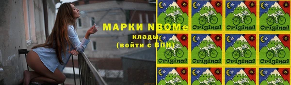 молекула духа Вяземский