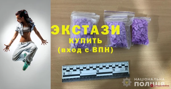 молекула духа Вяземский