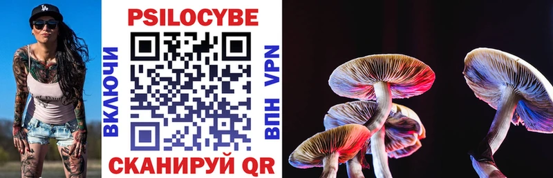 Галлюциногенные грибы Psilocybe  Новокузнецк 