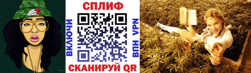 Марихуана AK-47  mega вход  Новокузнецк  сколько стоит 